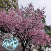 ヒメ日記 2025/03/11 23:00 投稿 みらい 丸妻 横浜本店