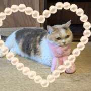 ヒメ日記 2025/04/20 18:02 投稿 みらい 丸妻 横浜本店