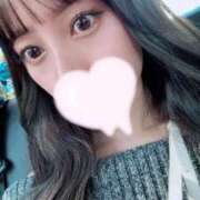 ヒメ日記 2025/04/23 00:34 投稿 るな チューリップ福井本館