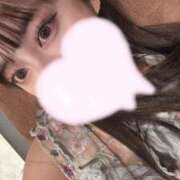 ヒメ日記 2025/04/26 17:12 投稿 るな チューリップ福井本館