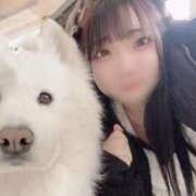 ヒメ日記 2026/02/01 17:08 投稿 こなつ 熟女の風俗最終章 高崎店