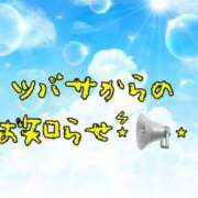 ヒメ日記 2023/12/16 09:00 投稿 青空つばさ セレブショップ新宿（東京ハレ系）