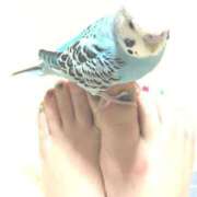 ヒメ日記 2024/12/30 23:06 投稿 れいは 熟女家 ミナミエリア店