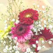 ヒメ日記 2025/03/26 15:35 投稿 れいは 熟女家 ミナミエリア店