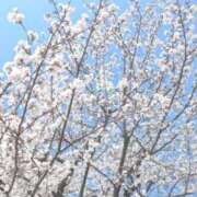 ヒメ日記 2025/04/05 13:55 投稿 れいは 熟女家 ミナミエリア店