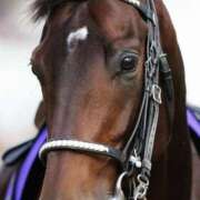 ヒメ日記 2025/06/07 16:55 投稿 れいは 熟女家 ミナミエリア店