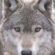 ヒメ日記 2025/07/10 14:45 投稿 れいは 熟女家 ミナミエリア店