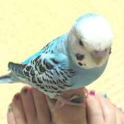 ヒメ日記 2025/08/17 15:26 投稿 れいは 熟女家 ミナミエリア店