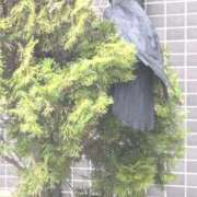 ヒメ日記 2025/10/31 14:47 投稿 れいは 熟女家 ミナミエリア店