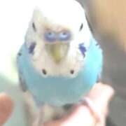 ヒメ日記 2025/11/24 11:24 投稿 れいは 熟女家 ミナミエリア店