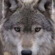 ヒメ日記 2025/12/23 14:45 投稿 れいは 熟女家 ミナミエリア店