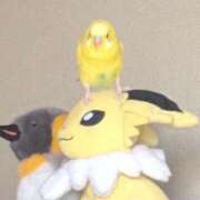 ヒメ日記 2026/02/06 15:15 投稿 れいは 熟女家 ミナミエリア店