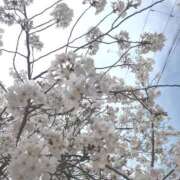 ヒメ日記 2026/04/07 09:26 投稿 れいは 熟女家 ミナミエリア店