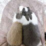 ヒメ日記 2025/10/29 23:42 投稿 綾波めぐ 渋谷ミルク