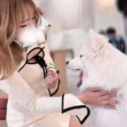 ヒメ日記 2025/04/25 20:49 投稿 みほの　アイドル×スタイル抜群 ちょこMOCA