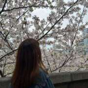 ヒメ日記 2026/05/01 14:16 投稿 ももか ていくぷらいど.学園