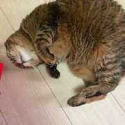 ヒメ日記 2024/12/19 08:07 投稿 にいな 横浜人妻花壇本店