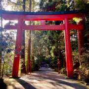 ヒメ日記 2024/12/31 21:38 投稿 にいな 横浜人妻花壇本店