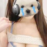 ヒメ日記 2025/04/09 16:19 投稿 にいな 横浜人妻花壇本店