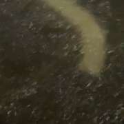 ヒメ日記 2025/07/10 20:58 投稿 にいな 横浜人妻花壇本店