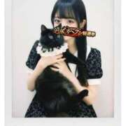 ヒメ日記 2025/10/11 10:42 投稿 にいな 横浜人妻花壇本店