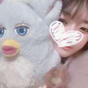 ヒメ日記 2025/10/31 01:14 投稿 にいな 横浜人妻花壇本店