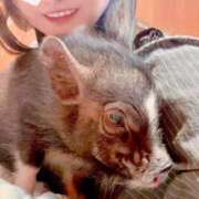 ヒメ日記 2025/11/09 23:14 投稿 にいな 横浜人妻花壇本店