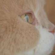 ヒメ日記 2025/11/14 06:34 投稿 にいな 横浜人妻花壇本店