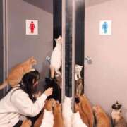 ヒメ日記 2025/11/25 19:21 投稿 にいな 横浜人妻花壇本店