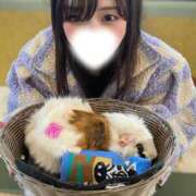 ヒメ日記 2026/02/20 19:47 投稿 にいな 横浜人妻花壇本店