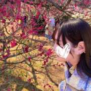 ヒメ日記 2026/02/22 23:57 投稿 にいな 横浜人妻花壇本店