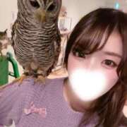 ヒメ日記 2026/02/23 09:51 投稿 にいな 横浜人妻花壇本店