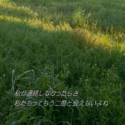 ヒメ日記 2026/05/23 06:26 投稿 にいな 横浜人妻花壇本店