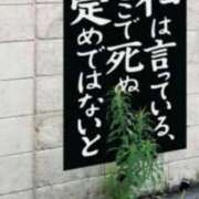 ヒメ日記 2026/06/18 10:30 投稿 にいな 横浜人妻花壇本店