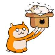 ヒメ日記 2025/02/02 17:40 投稿 かえで☆ 粋美　suibi