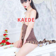 ヒメ日記 2025/06/29 08:40 投稿 かえで☆ 粋美　suibi