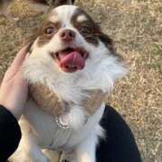 ヒメ日記 2025/08/29 01:28 投稿 ゆきりん ハピネス＆ドリーム福岡