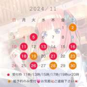 ヒメ日記 2024/10/31 09:05 投稿 ほたる ムーランルージュ