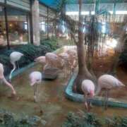 ヒメ日記 2025/01/02 23:06 投稿 りょう 熟女の風俗最終章 高崎店