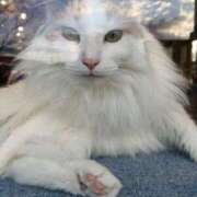 ヒメ日記 2025/01/05 23:46 投稿 りょう 熟女の風俗最終章 高崎店