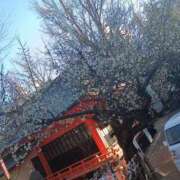 ヒメ日記 2025/02/09 09:34 投稿 りょう 熟女の風俗最終章 高崎店