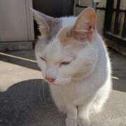 ヒメ日記 2025/02/23 10:48 投稿 りょう 熟女の風俗最終章 高崎店