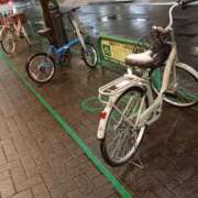 ヒメ日記 2025/03/04 22:48 投稿 りょう 熟女の風俗最終章 高崎店