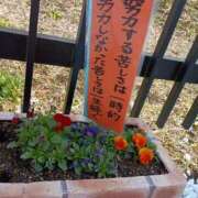 ヒメ日記 2025/03/18 15:29 投稿 りょう 熟女の風俗最終章 高崎店