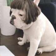 ヒメ日記 2025/03/21 15:38 投稿 りょう 熟女の風俗最終章 高崎店