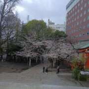 ヒメ日記 2025/03/28 09:30 投稿 りょう 熟女の風俗最終章 高崎店