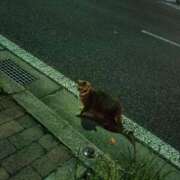 ヒメ日記 2025/04/15 09:11 投稿 りょう 熟女の風俗最終章 高崎店