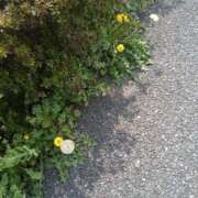 ヒメ日記 2025/04/18 14:08 投稿 りょう 熟女の風俗最終章 高崎店