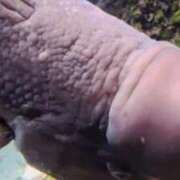 ヒメ日記 2025/04/20 14:51 投稿 りょう 熟女の風俗最終章 高崎店