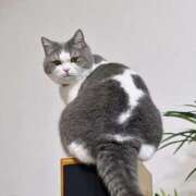 ヒメ日記 2025/06/08 14:48 投稿 りょう 熟女の風俗最終章 高崎店